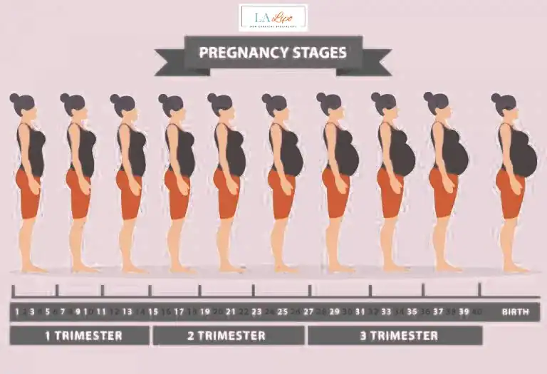 First Trimester (Weeks 1–12): Early Changes You Might Not Notice Hockley